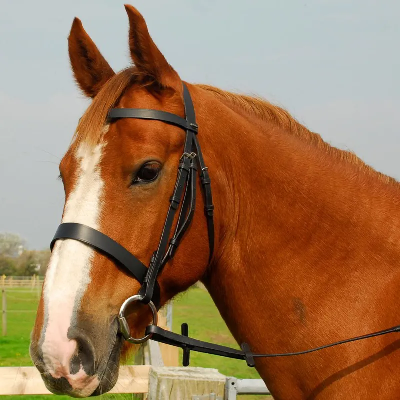 Heritage Hunter Bridle with Wide Noseband and Reins - Black