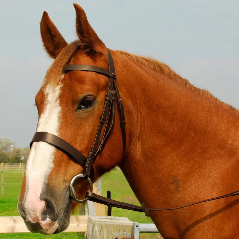 Heritage Hunter Bridle with Wide Noseband and Reins - Havana