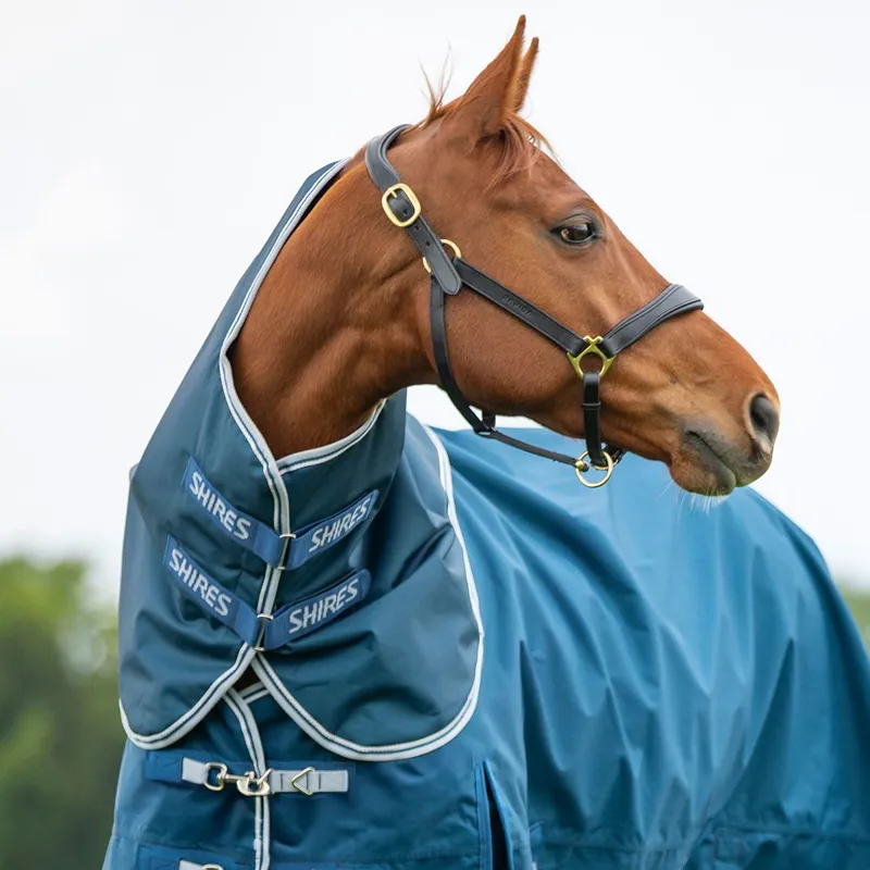 Shires Highlander Original 50g Neck Cover - Ocean