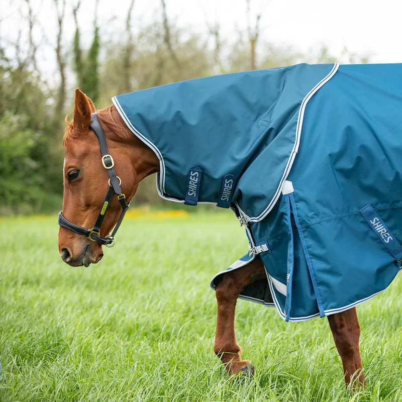 Shires Highlander Original 50g Neck Cover - Ocean-4