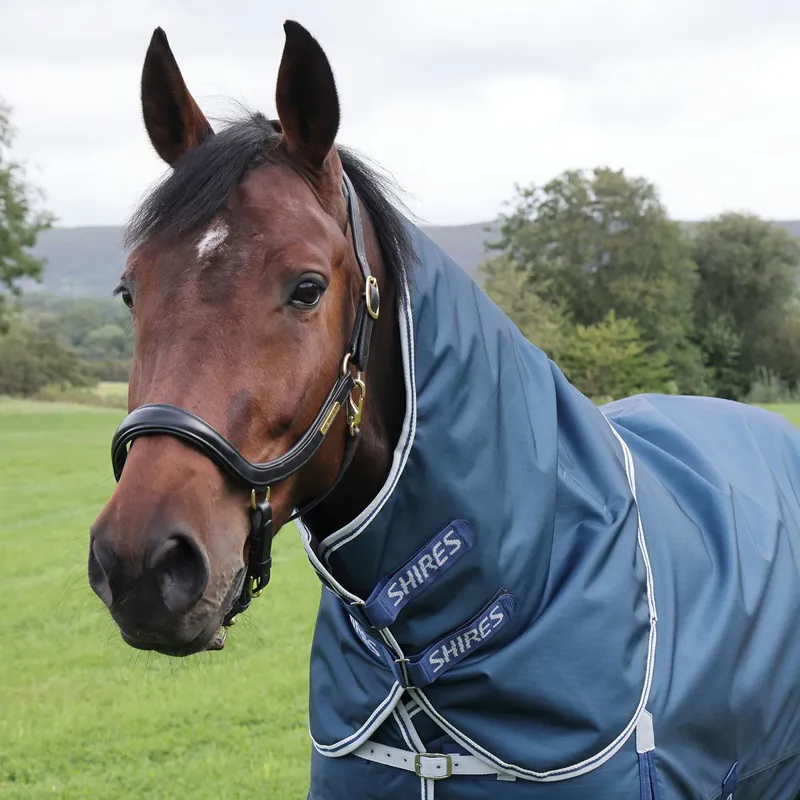 Shires Highlander Original 50g Neck Cover - Ocean-2