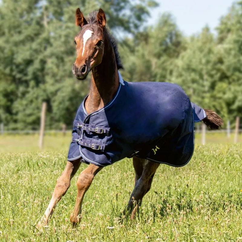HKM Polar Fleece 600D Lightweight Foal Turnout Blanket Deep Blue-1
