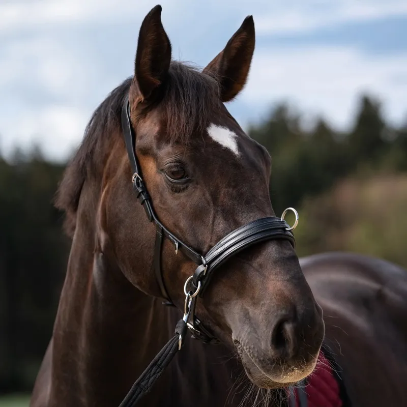HKM Leather Lunge Cavesson - Black-3