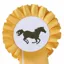 HKM Single Tier Rosette - Gold/White