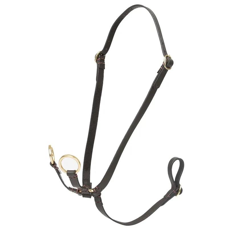 LeMieux Hobby Horse Toy Running Martingale - Brown