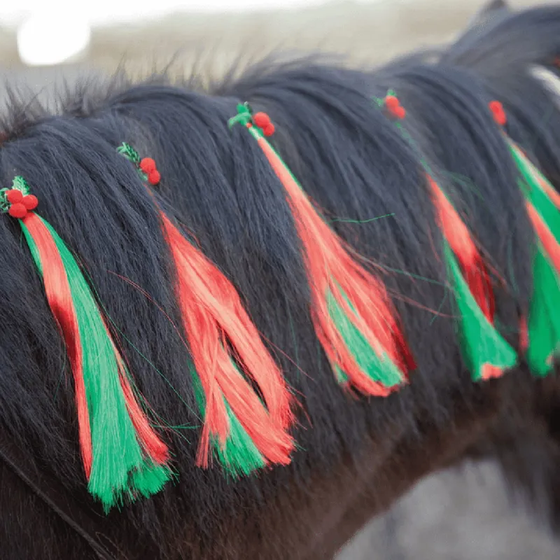 Equetech One Size 5 Pack Christmas Holly Festive Horse Mane Tassels in Green-1