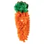 House of Paws Snuffle Toy - Carrot
