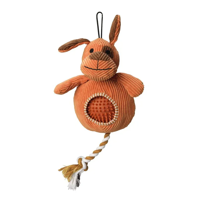 House of Paws Cord Dog Toy with Spiky Ball - Dog-1