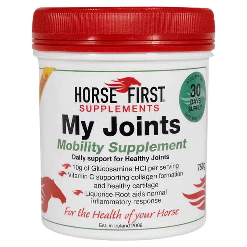 Horse First My Joints-1