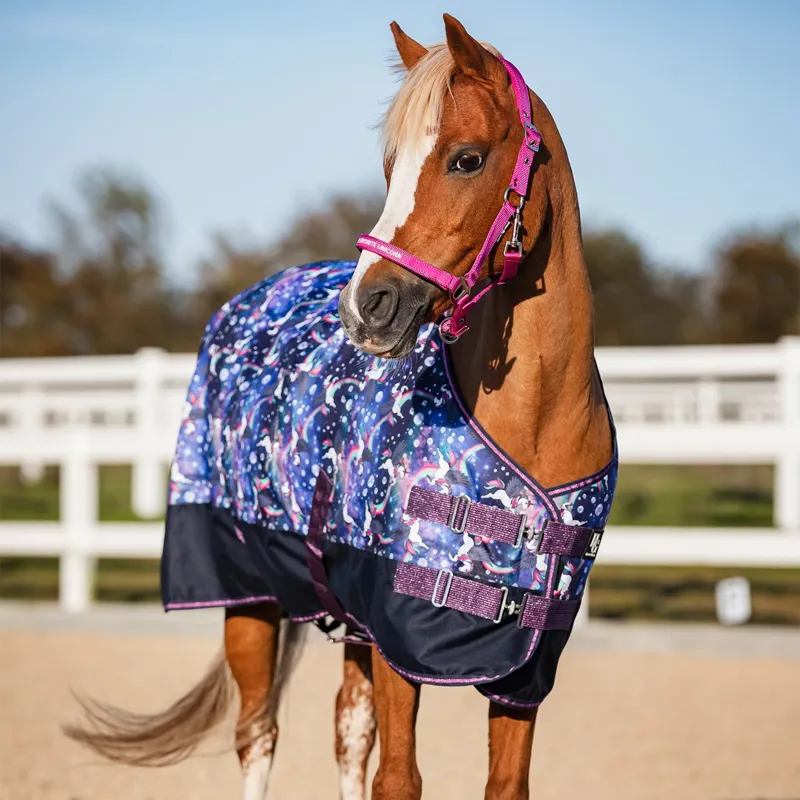 Horse Guard Josh 100g Pony Turnout Blanket - Dutch Blue-1