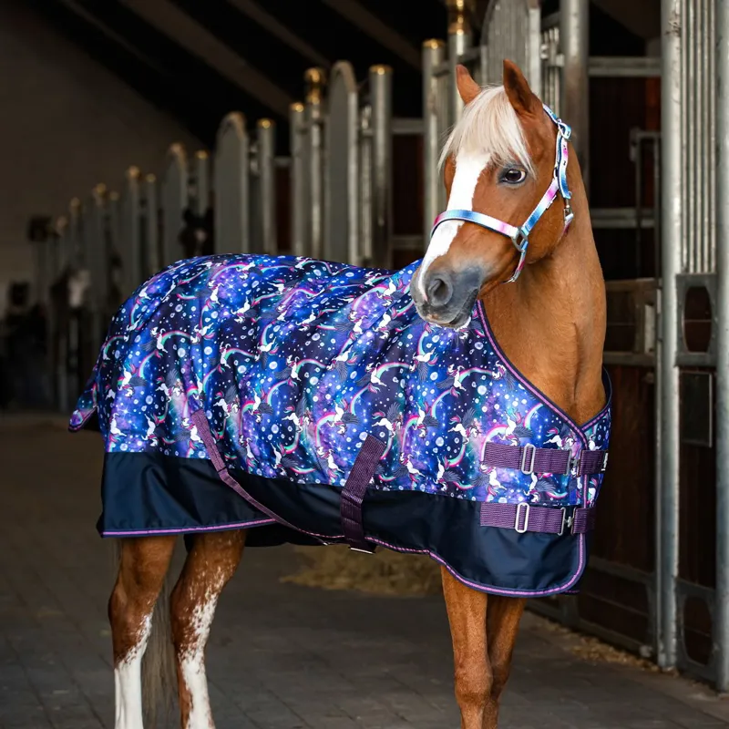 Horse Guard Josh 100g Pony Turnout Blanket - Dutch Blue