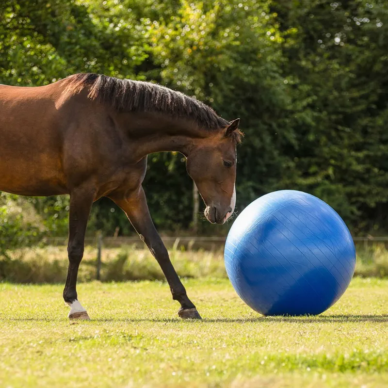 QHP Horse Football - Blue-2