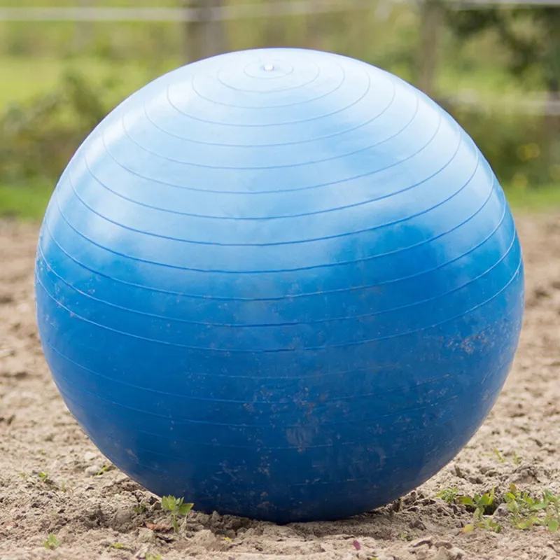 QHP Horse Football - Blue