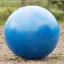 QHP Horse Football - Blue