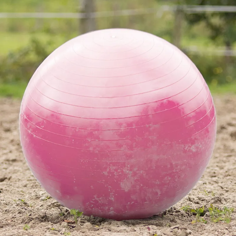 QHP Horse Football - Pink