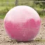 QHP Horse Football - Pink