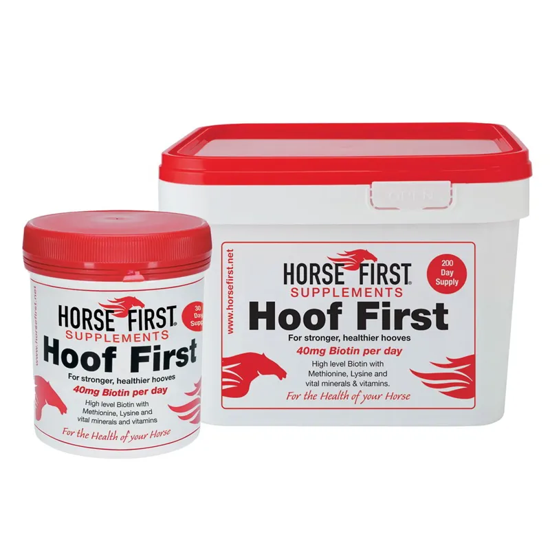 Horse First Hoof First-1