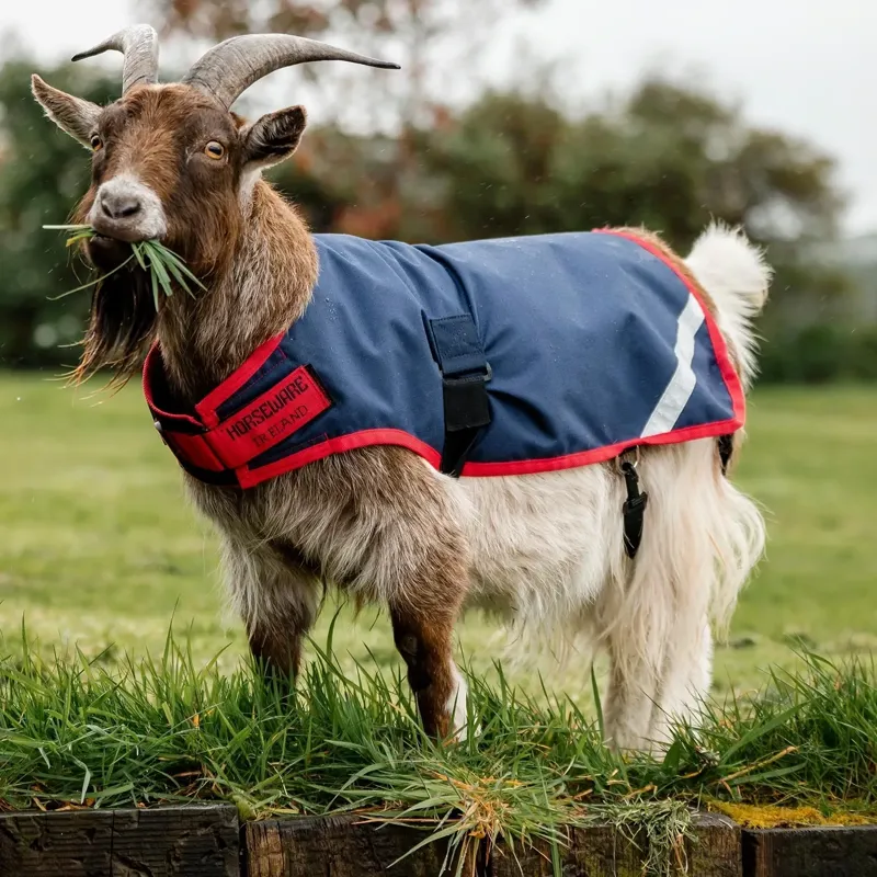 Horseware 0g Waterproof Goat Coat - Navy/Red