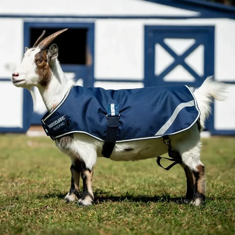 Horseware 100g Waterproof Goat Coat - Navy