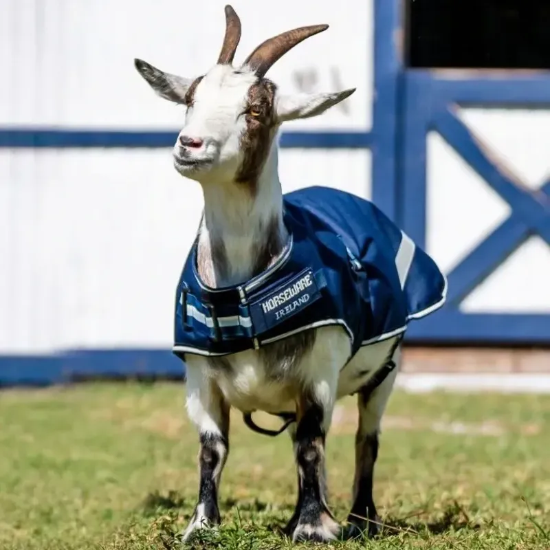 Horseware 100g Waterproof Goat Coat - Navy-1