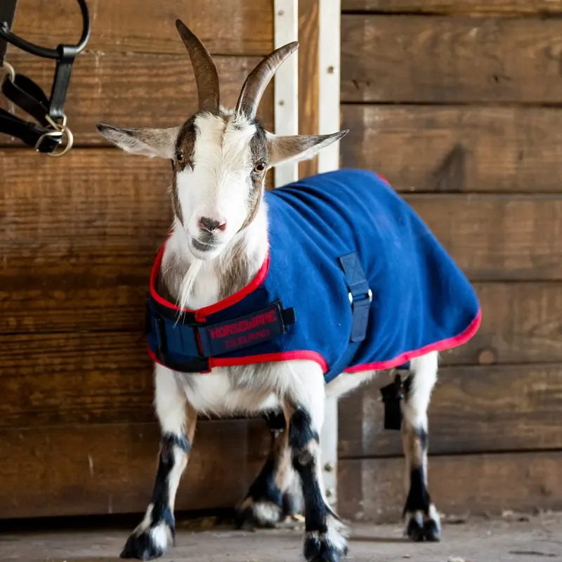 Horseware Fleece Goat Coat - Navy/Red