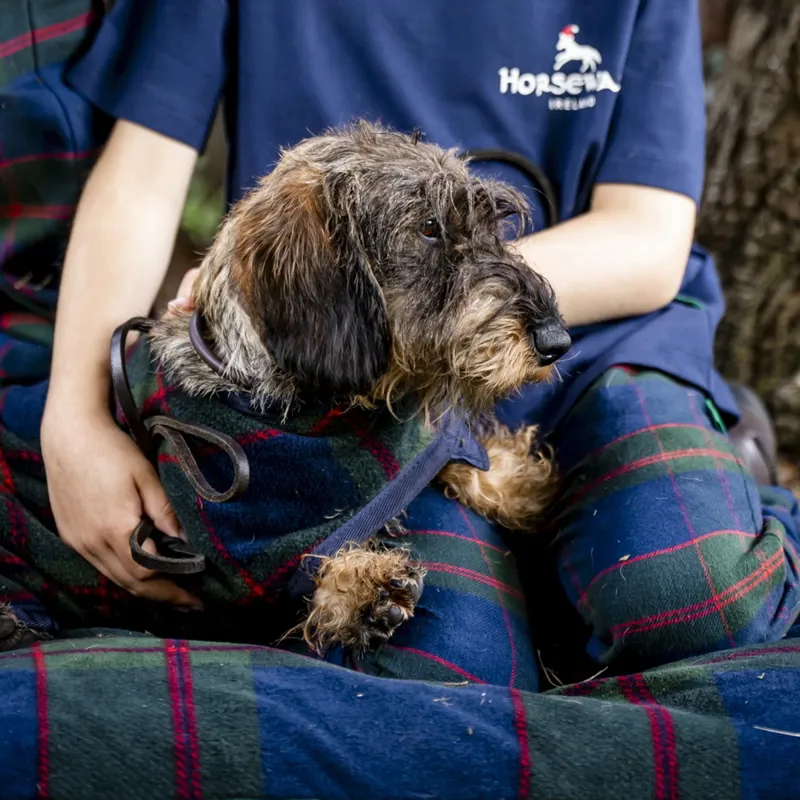 Horseware Holiday Dog Fleece Coat - Navy Check/Green/Red-1
