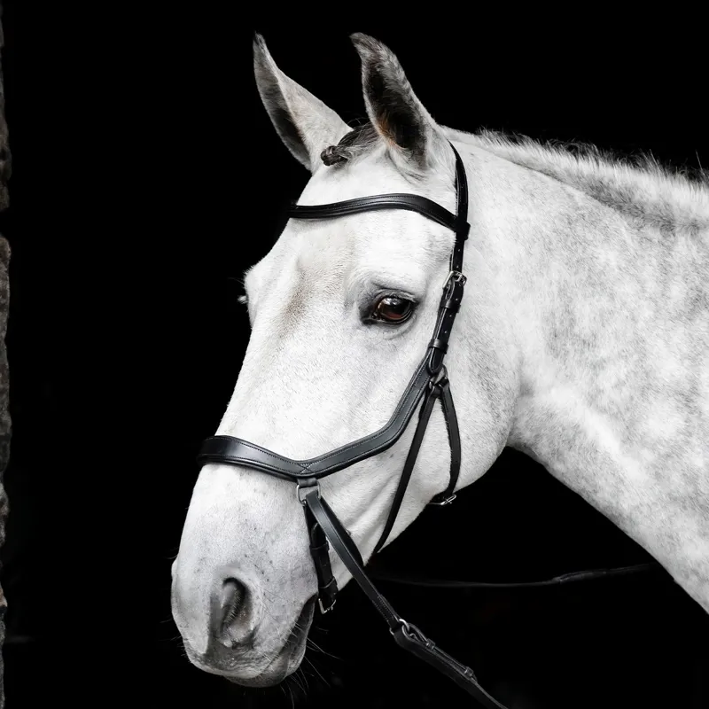 Horseware Micklem Bitless Bridle - Black-1