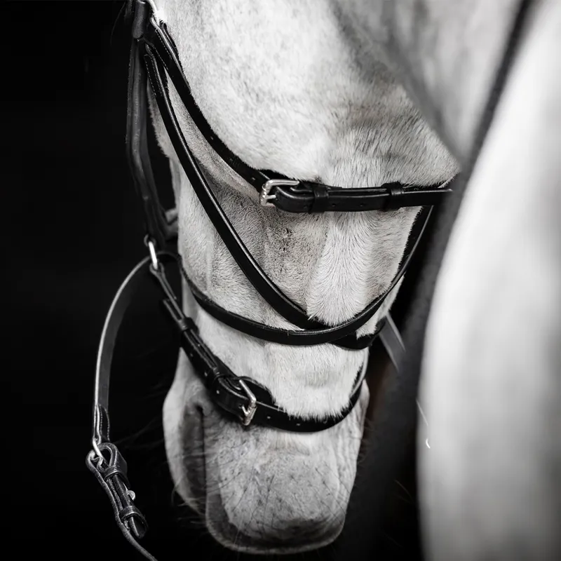 Horseware Micklem Bitless Bridle - Black-3