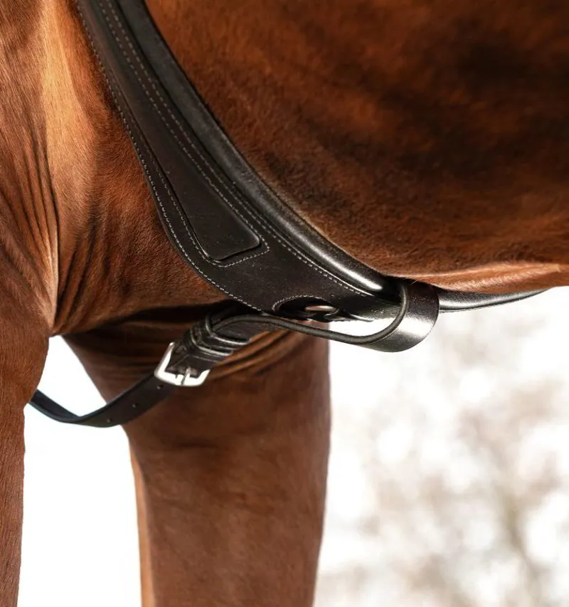 Horseware Micklem Breastplate with Martingale - Black-4