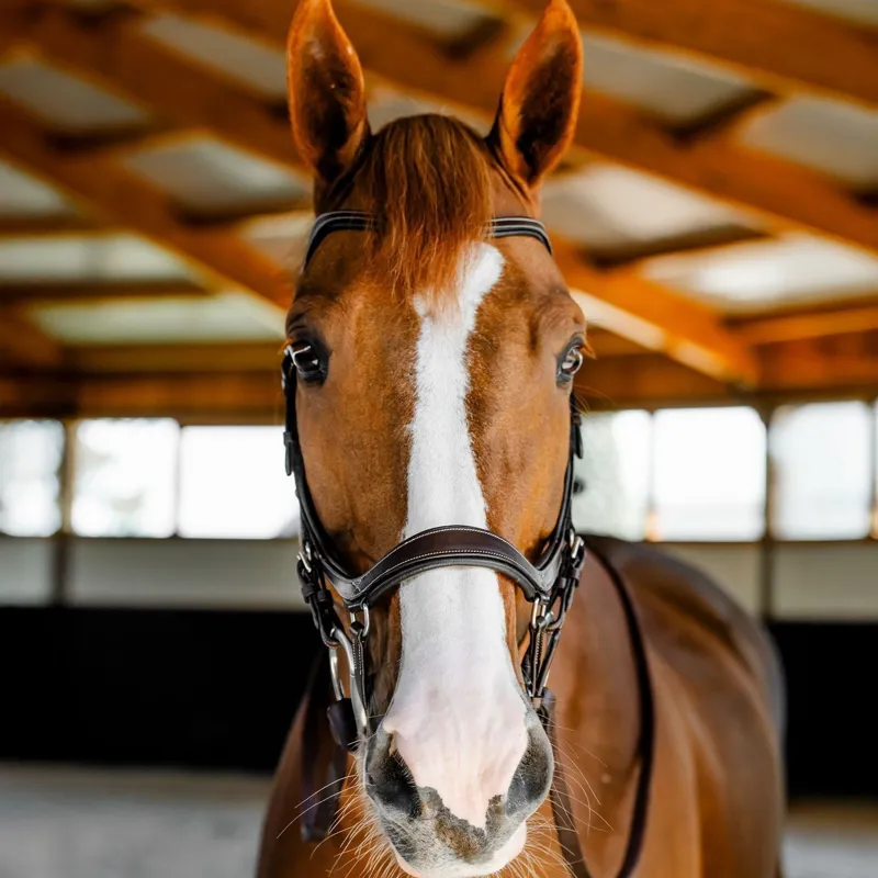 Horseware Micklem Competition Bridle - Dark Havana-1