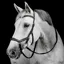 Horseware Micklem Deluxe Competition Bridle - Black