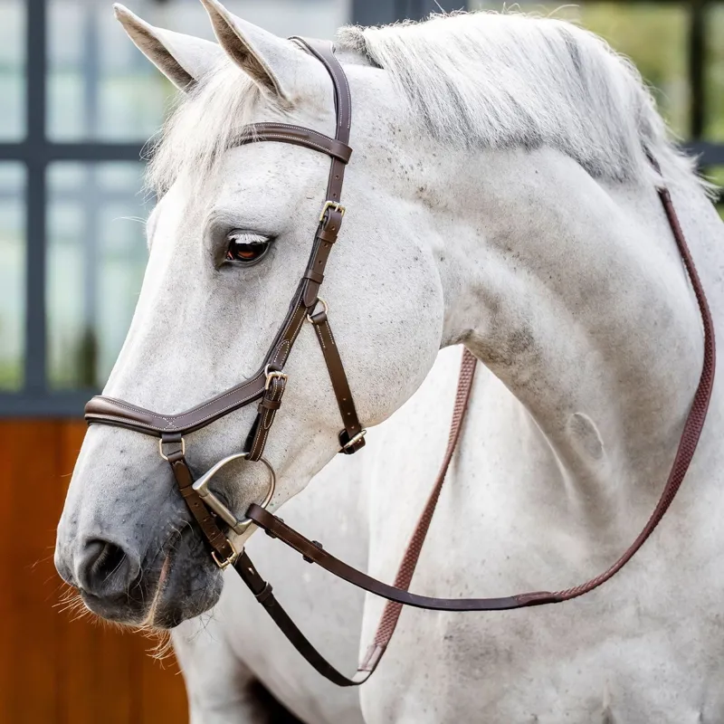 Horseware Micklem Deluxe Competition Bridle - Dark Havana-1