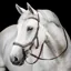 Horseware Micklem Deluxe Competition Bridle - Dark Havana