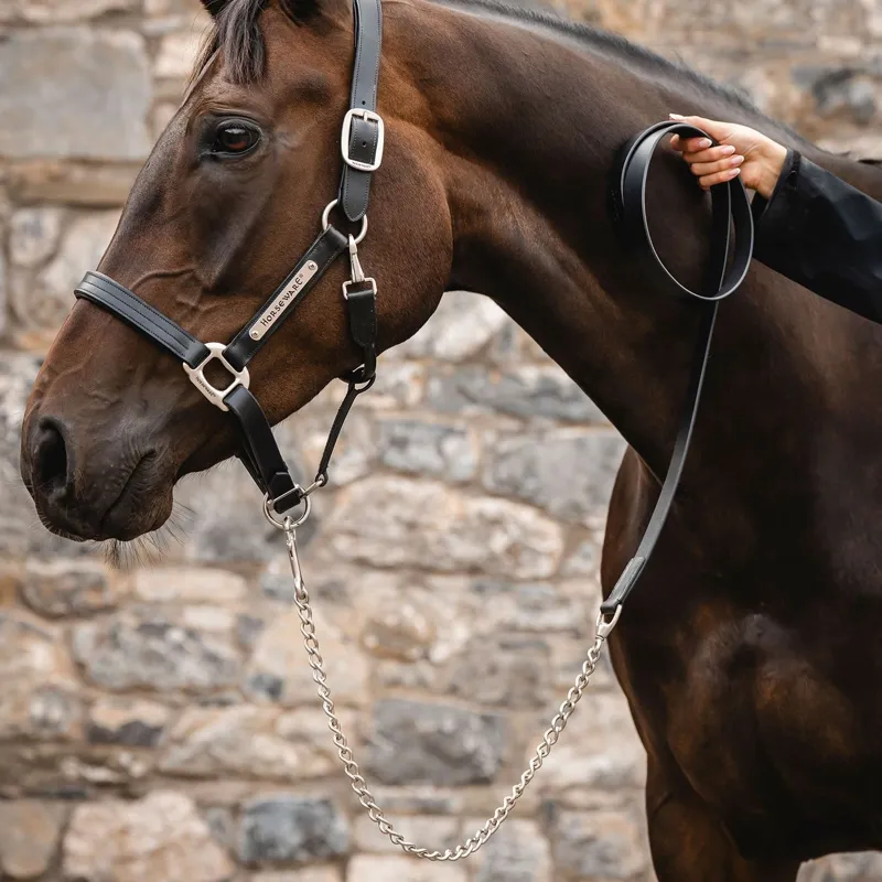 Horseware Signature Leather Lead with Chain - Black-1