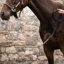 Horseware Signature Leather Lead with Chain - Black