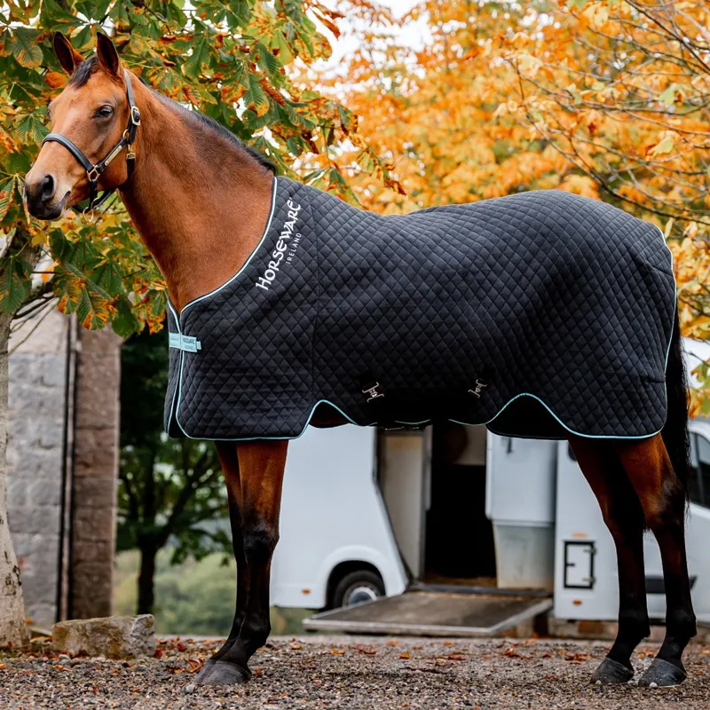 Horseware Autumn Cooler - Black/Aqua