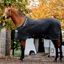 Horseware Autumn Cooler - Black/Aqua