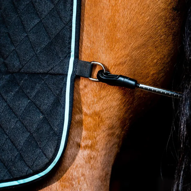 Horseware Autumn Cooler - Black/Aqua-8