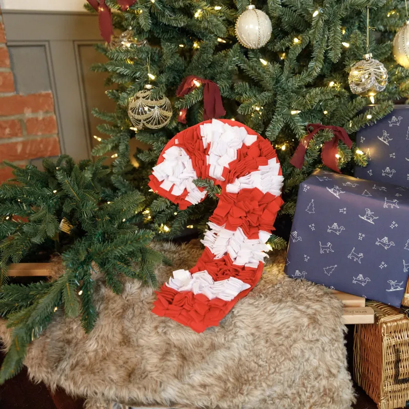 House of Paws Snuffle Toy - Candy Cane-1