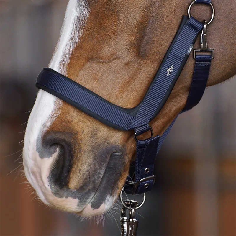 HV Polo Essential Anatomical Halter - Navy-2