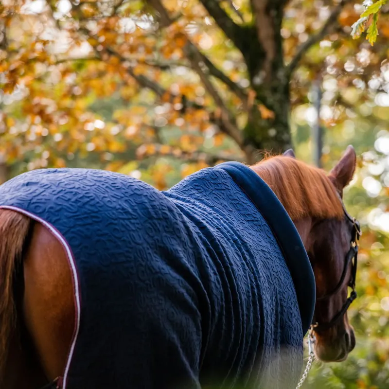 Horseware Embossed Cosy Neck Cooler Navy HW Print/Burgundy/White-7