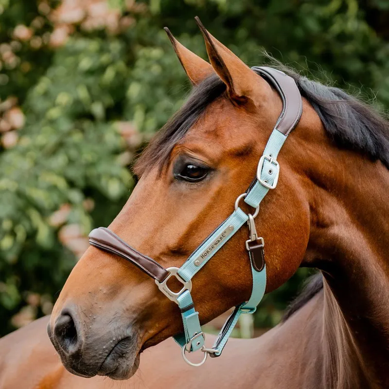 Horseware Signature Competition Halter - Brown/Blue Haze