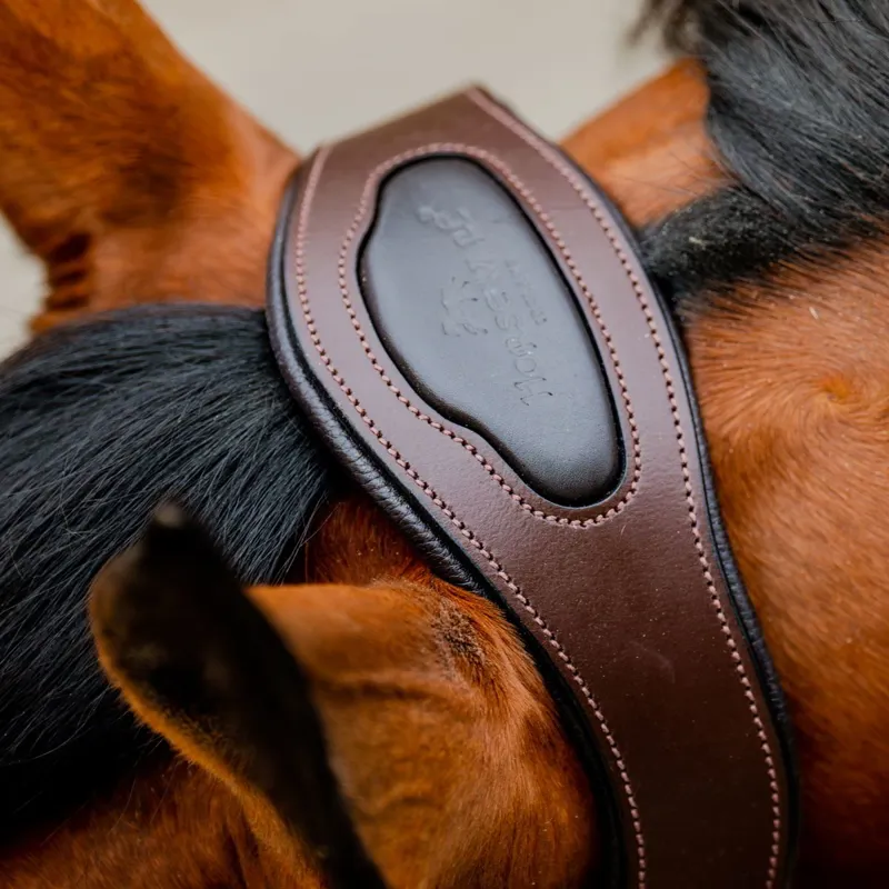 Horseware Signature Competition Halter - Brown/Navy-2