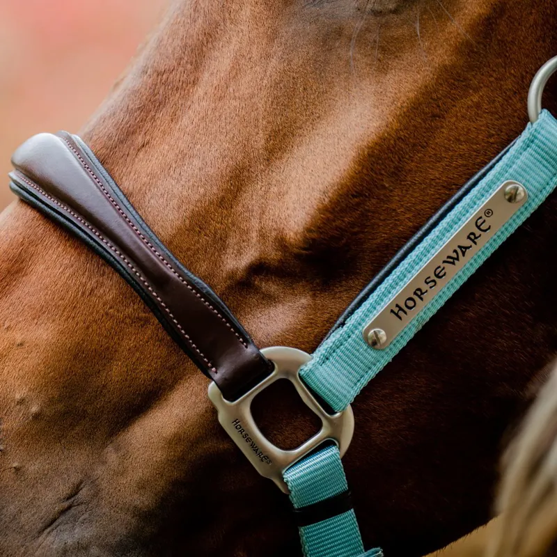 Horseware Signature Competition Halter - Brown/Blue Haze-2
