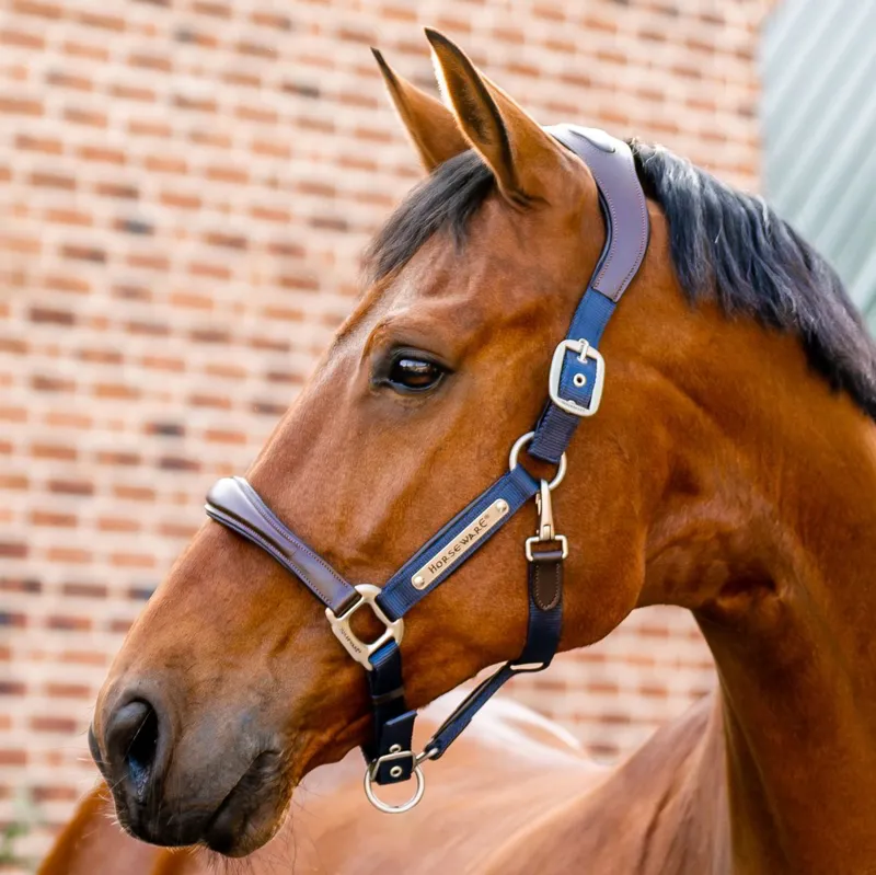 Horseware Signature Competition Halter - Brown/Navy