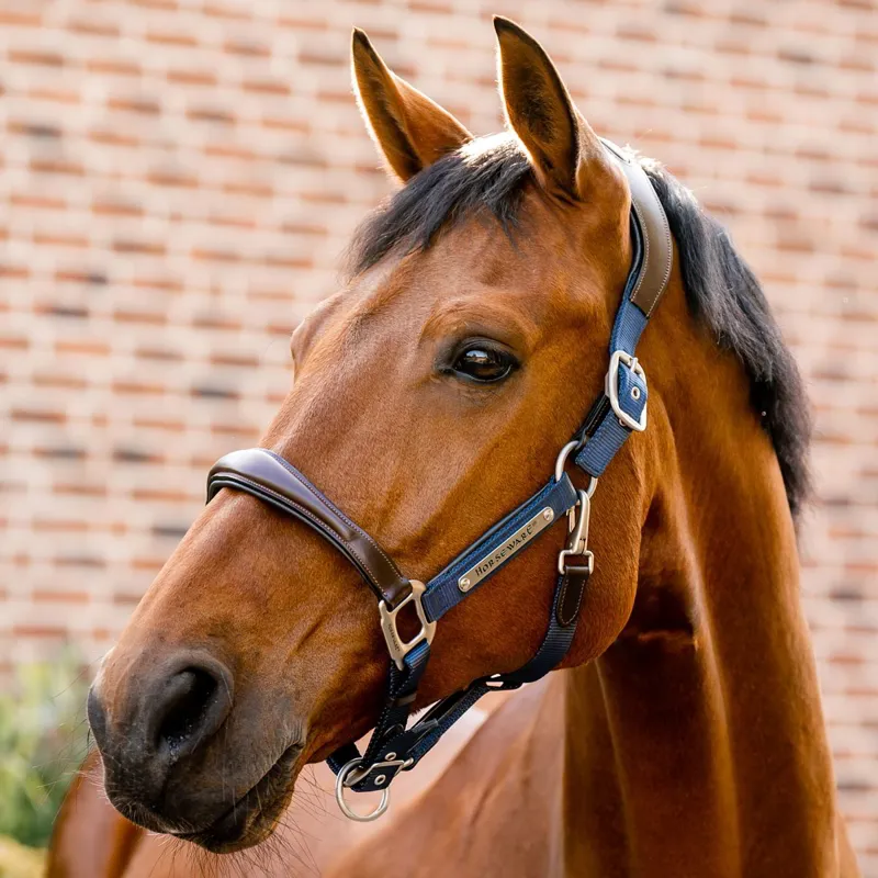 Horseware Signature Competition Halter - Brown/Navy-1