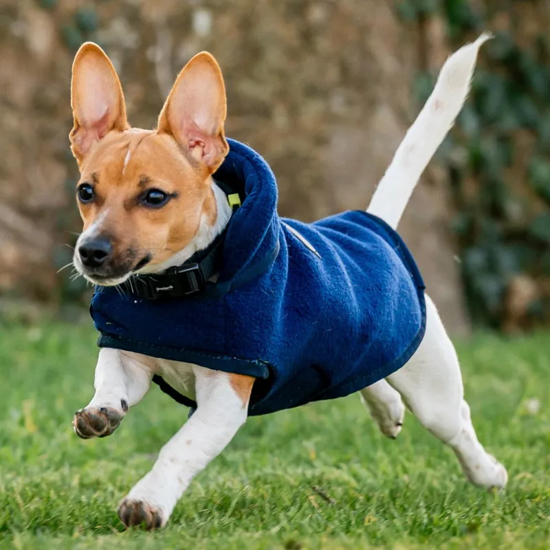 Horseware Signature Dog Fleece - Navy-3
