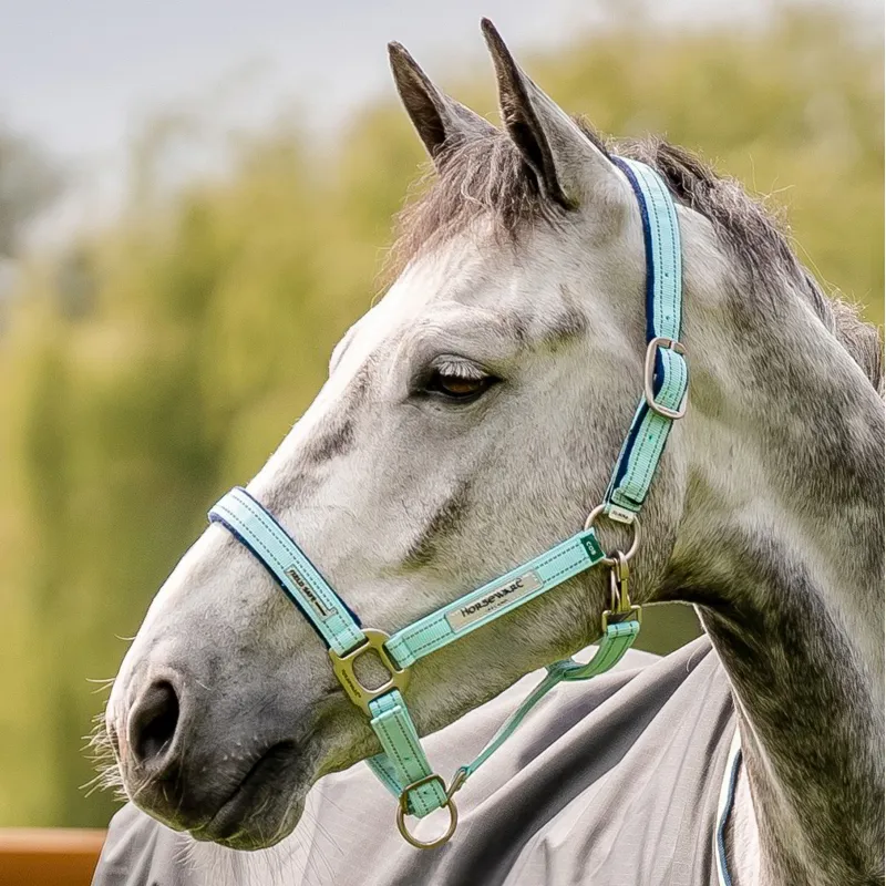 Horseware Field Safe Halter - Blue Haze
