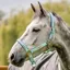 Horseware Field Safe Halter - Blue Haze