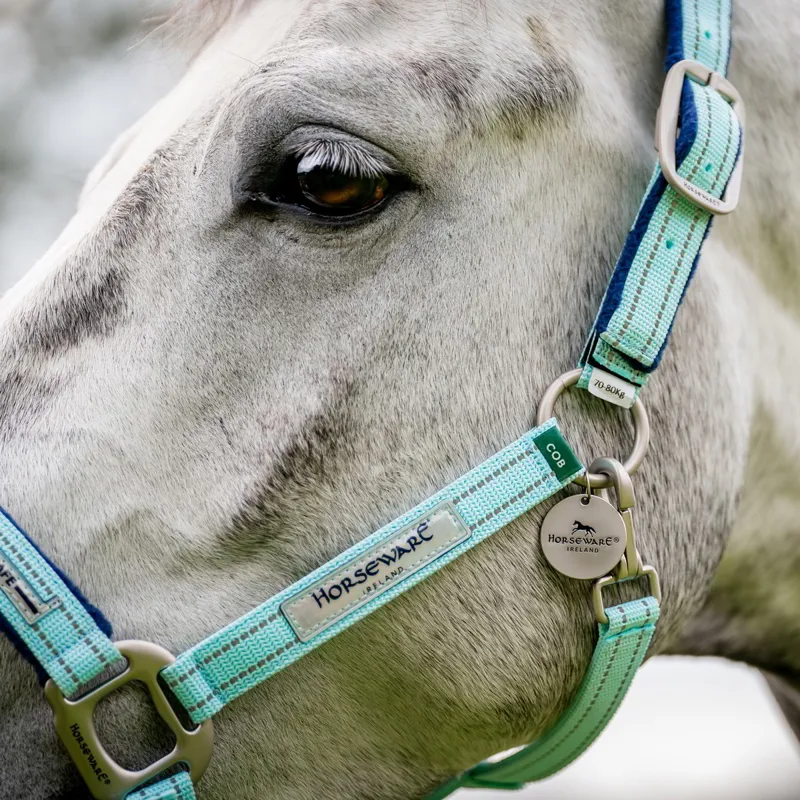 Horseware Field Safe Halter - Blue Haze-2